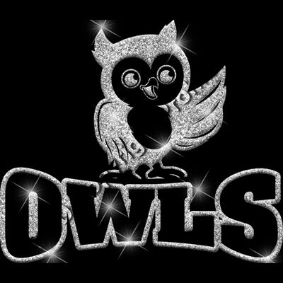 GLT32 SILVER GLITTER Thumbnail